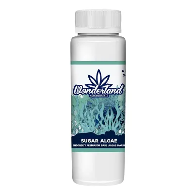 Sugar Algae - Wonderland